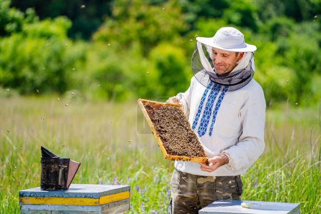 Téléchargez les photos : Un homme en costume d'apiculteur tenant un nid d'abeille. Concept de travail acharné et de dévouement à l'artisanat de l'apiculture - en image libre de droit