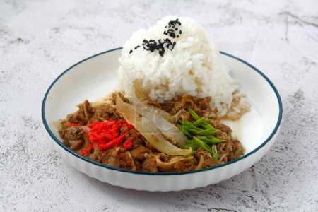 Foto de gyudon de ternera recién cocinado con arroz.