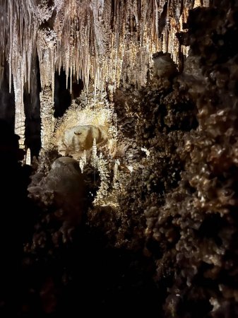 Photo for Stalactites and Stalagmite and other rock formations inside the Big Room in Carlsbad Cavern New Mexico - Royalty Free Image