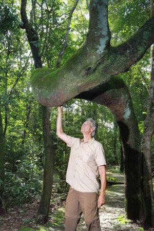 Biólogo inspeccionando el tronco torcido del árbol Anigic también conocido como la seda del hilo dental que se encuentra a través de las sabanas o Cerrados de Brasil