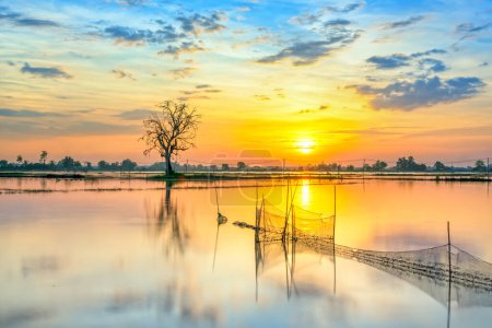 Téléchargez les photos : Coucher de soleil le long de la rivière inondé campagne marécageuse que le soleil vers le bas horizon vraiment dramatique fin d'une journée ensoleillée. - en image libre de droit