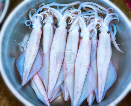 Téléchargez les photos : Des seiches fraîches sont capturées dans le marché aux poissons. Cette espèce de poisson vit dans les eaux du centre et du sud-est du Vietnam - en image libre de droit