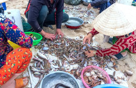 Photo for Sea fish after the catch sold in the seafood market in central Vietnam. This is a nutritious high protein foods to benefit human health - Royalty Free Image