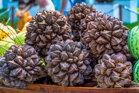 Téléchargez les photos : Un groupe de fruits de palmier Nipa de la forêt de mangrove sont vendus au marché. Il s'agit d'un aliment fruitier riche en minéraux utiles pour l'homme - en image libre de droit