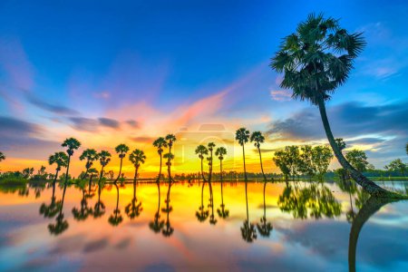 Photo for Beautiful landscape of nature with dramatic cloudscape, row of palm trees in silhouette reflect on the surface water of the river at sunrise - Royalty Free Image