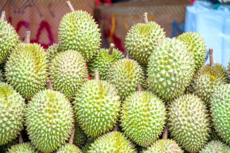 Photo for Durians fruit for sale at the market, Vietnam fruit, specialty from Cai Lay region, Tien Giang - Royalty Free Image