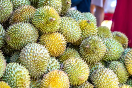 Téléchargez les photos : Durians fruits à vendre au marché, fruits du Vietnam, spécialité de la région de Cai Lay, Tien Giang - en image libre de droit
