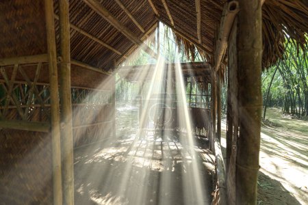 Foto de Rayos solares penetran dentro de una casa temporal de bambú en el bosque tropical. - Imagen libre de derechos
