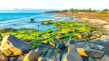 Erstaunliche Felsen und Moos am Strand von Co Thach, Tuy Phong, Provinz Binh Thuan, Vietnam, Meereslandschaft Vietnams Seltsame Felsen.
