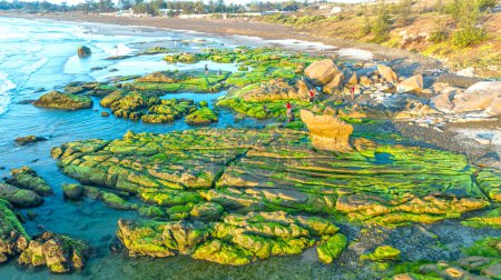 Incroyable rocher et mousse à la plage de Co Thach, Tuy Phong, province de Binh Thuan, Vietnam, Paysage marin du Vietnam Rochers étranges.