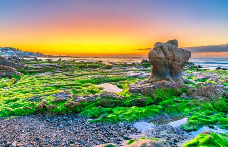 Foto de Paisaje de playa rocosa al amanecer con musgo y guijarros en la playa de Co Thach, una famosa playa en la provincia de Binh Thuan, Vietnam central - Imagen libre de derechos