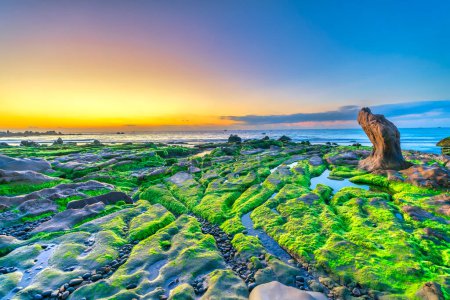 Landscape of rocky beach at sunrise with moss and pebbles on Co Thach beach, a famous beach in Binh Thuan province, central Vietnam