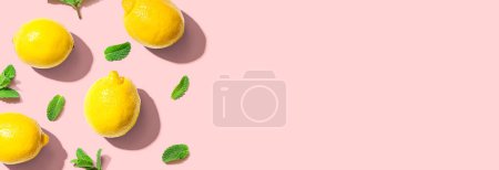 Téléchargez les photos : Citrons jaunes frais avec vue sur la menthe - plat - en image libre de droit