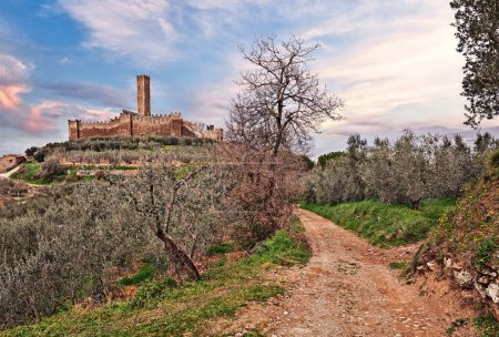 Castiglion Fiorentino, Arezzo, Toskana, Italien: das mittelalterliche Schloss von Montecchio Vesponi auf dem Land mit Olivenhainen
