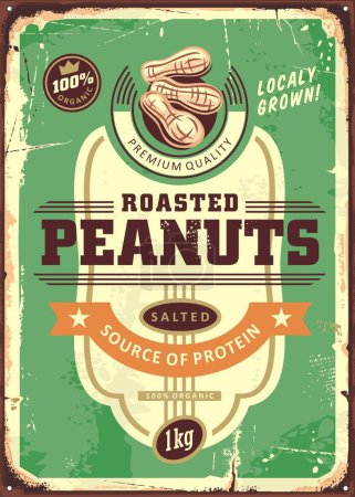 Roasted peanuts retro advertising sign label design template on old scratched background. Vintage food poster layout for salted peanut snacks. Vector illustration for grocery product.