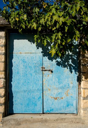Téléchargez les photos : Porte fermée en métal bleu à l'entrée d'une maison avec figuier. Façade intérieure, Sécurité intérieure. - en image libre de droit