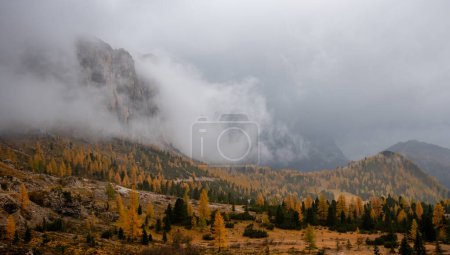 Téléchargez les photos : Vue imprenable sur les sommets montagneux de Langkofel ou Saslonch, chaîne de montagnes dans les dolomites couvertes de brouillard au lever du soleil au Tyrol du Sud, Italie - en image libre de droit