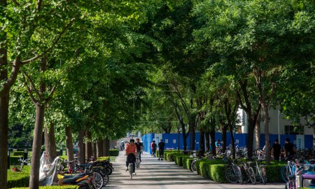 Photo for Beijing, China, June 1 2018: Students biking in the park of Tsinghua University building in Beijing, China - Royalty Free Image