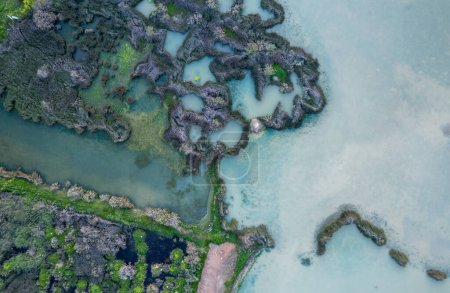 Foto de Drone vista aérea superior de los detalles de un lago y arbustos. Refugio Wildlife Bird. Paralimni Chipre - Imagen libre de derechos