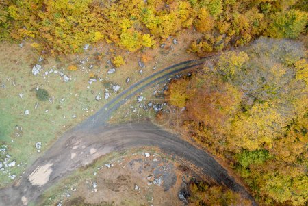 Téléchargez les photos : Drone aérien de la route forestière d'automne. Vue de la route forestière d'automne avec des feuilles tombées Paysage de la saison d'automne. Épire Grèce - en image libre de droit