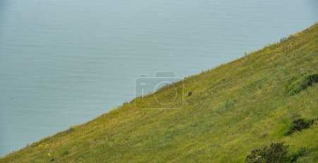 Nature landscape. Green hill and ocean. Edge of cliff.