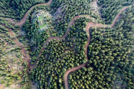 Drone scenery of rural mountain windy road through forest. Troodos mountains Cyprus.