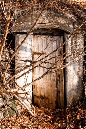 Alte Holztür des verlassenen Kellers