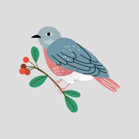 Vector illustration with bullfinch and red berries. Isolated vector illustration with a bird in hand drawn style.