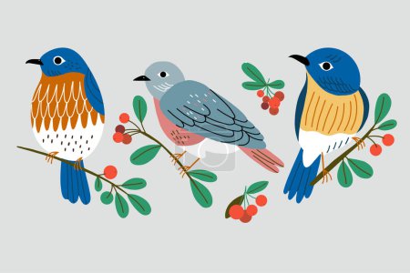 Photo for Vector illustration with bullfinches and red berries. Isolated vector illustration with birds. - Royalty Free Image