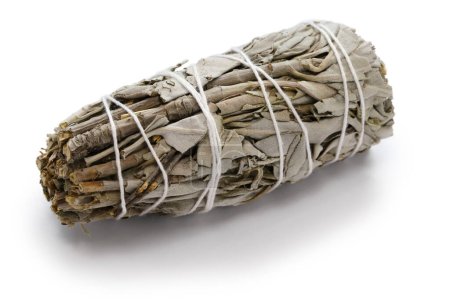 Photo for White sage smudge stick for meditation, healing, and spiritual room cleansing - Royalty Free Image