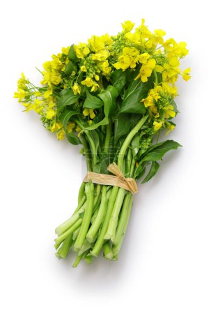 Téléchargez les photos : Un bouquet de brassica rapa isolé sur fond blanc - en image libre de droit