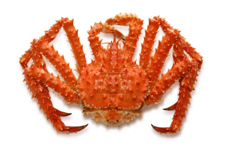 Téléchargez les photos : Crabe royal rouge bouilli isolé sur un fond blanc - en image libre de droit