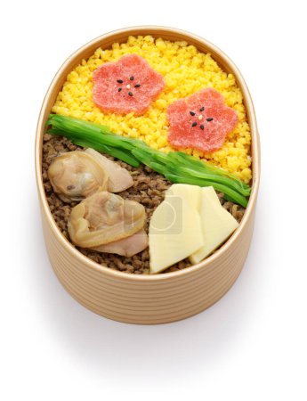 Japanese spring homemade bento (lunch box )
