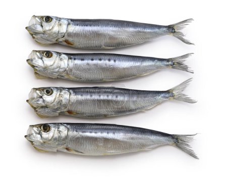 Téléchargez les photos : Iwashi marubosi (sardines japonaises semi-séchées) isolé sur fond blanc. - en image libre de droit