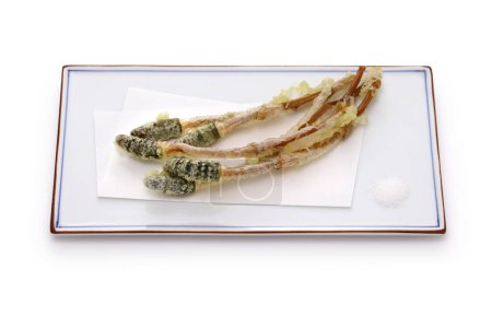 Tsukushi (brotes fértiles de cola de caballo de campo) tempura, plato de verduras silvestres japonesas