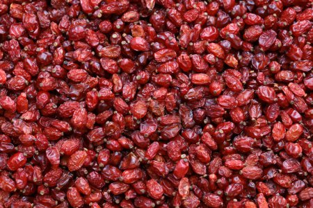 dried barberries from Iran