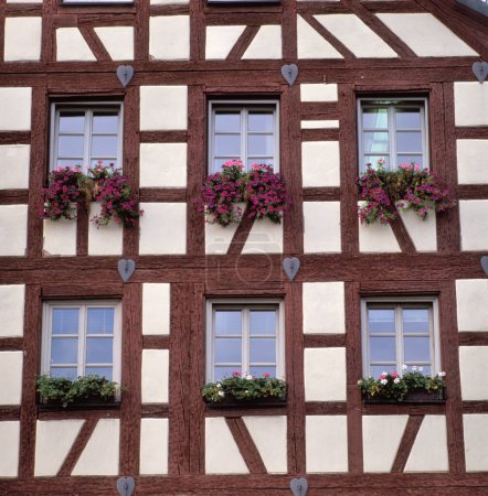 Téléchargez les photos : Belle maison blanche à colombages avec géraniums rouges sur le rebord de la fenêtre dans le village d'Altdorf à Beieren, Allemagne - en image libre de droit