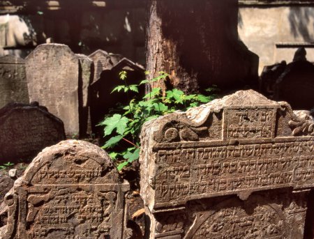 Photo for PRAGUE,CZECH REPUBLIC- SEPTEMBER 03,2023: Selective focus at the front tombs. A single tombstone inscribed with Hebrew letters. Hundreds of gravestones piled one against the other. - Royalty Free Image
