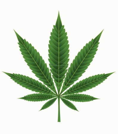 Illustration for Green Cannabis, Marijuana, Marihuana, Weed, Hemp leaf - Royalty Free Image