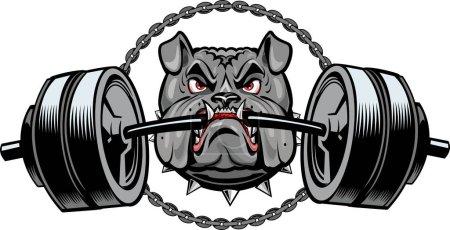 Illustration for Bulldog bodybuilder for weight training, - Royalty Free Image