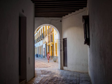 Photo for Entrance alley to the Jewish quarter with the Patio de Banderas (Flags courtyard) of the Alcazar of Seville in the background. Seville, Andalusia, Spain. - Royalty Free Image