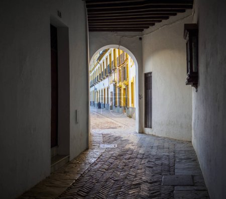 Photo for Entrance alley to the Jewish quarter with the Patio de Banderas (Flags courtyard) of the Alcazar of Seville in the background. Seville, Andalusia, Spain. - Royalty Free Image