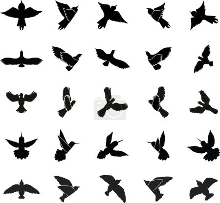 Photo for Collection of different types of flying bird icons,silhouettes,sides,positions,shape,design.Wildlife icon collection of vector illustration of group of flying birds like eagle,humming bird that includes cutouts and silhouettes.Use for backdrop,cards. - Royalty Free Image