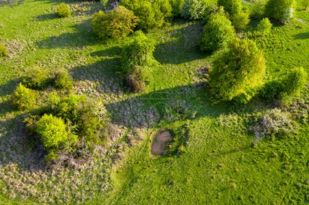 Photo for Aerial view of green pasture with small natural drinking ponds for buffallos and farm animals. Transylvania, Romania - Royalty Free Image