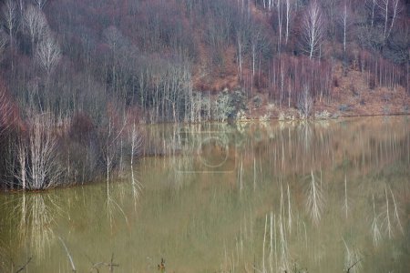Téléchargez les photos : Eaux usées vertes provenant d'une mine de cuivre polluant l'environnement. Lac de décantation Geamana, Rosia Montana, Roumanie - en image libre de droit