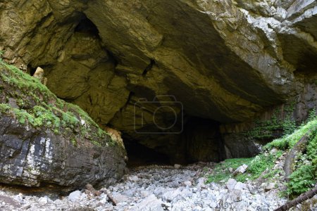 Téléchargez les photos : Entrée de grotte monumentale. Caverne de Coiba Mare, Roumanie - en image libre de droit
