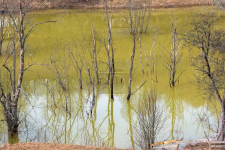 Téléchargez les photos : Eaux usées vertes provenant d'une mine de cuivre polluant l'environnement. Lac de décantation Geamana, Rosia Montana, Roumanie - en image libre de droit