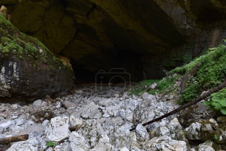 Téléchargez les photos : Entrée de grotte monumentale. Caverne de Coiba Mare, Roumanie - en image libre de droit