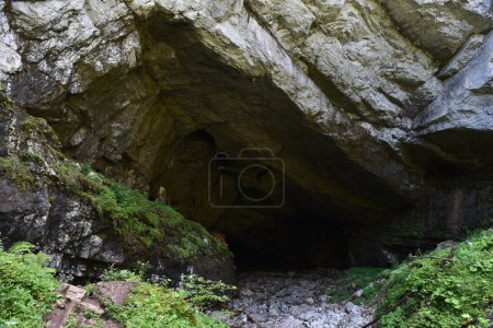 Foto de Entrada a la cueva monumental. Caverna Coiba Mare, Rumania - Imagen libre de derechos