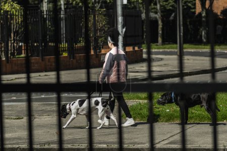 Téléchargez les photos : Chien d'assistance porte une femme derrière une clôture : soutien et compagnie d'un chien d'assistance pour les personnes à mobilité réduite - en image libre de droit